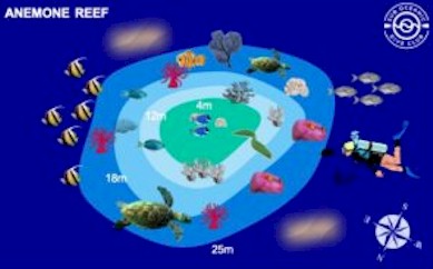 Anemone Reef